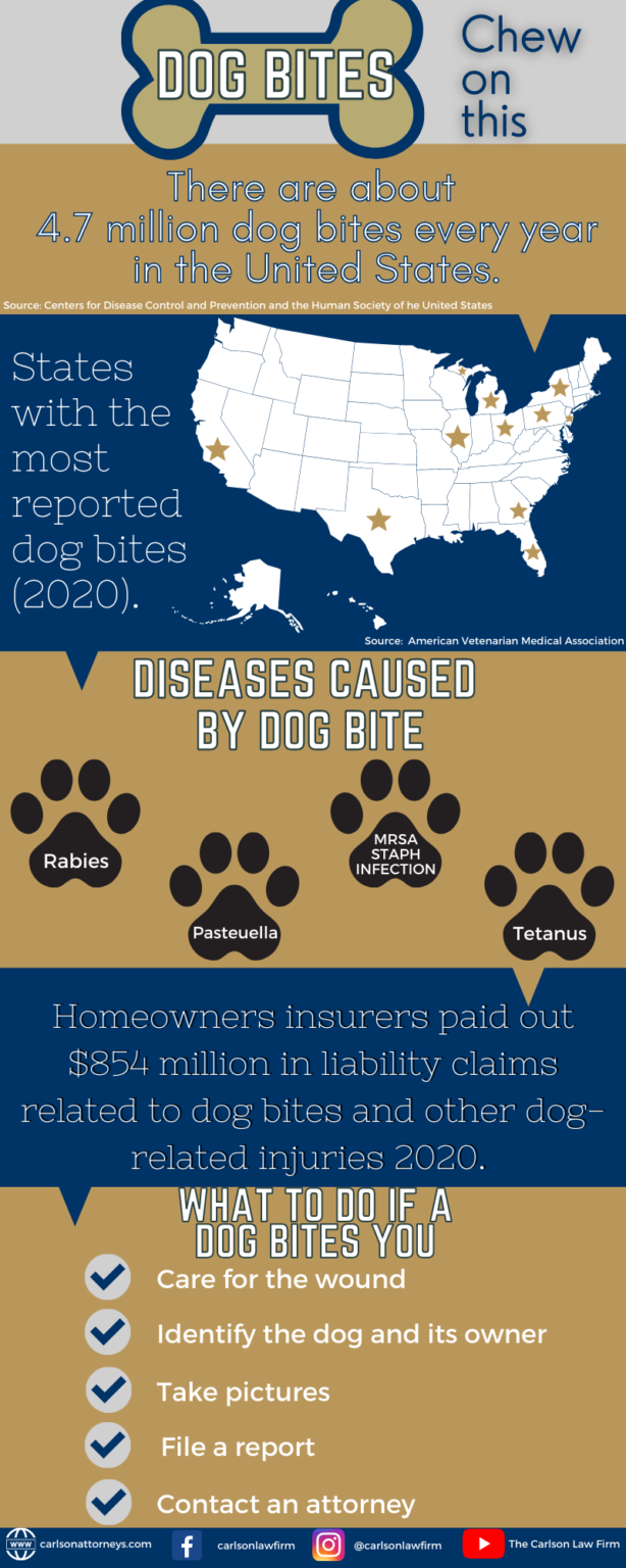 Dog Bites by Breed Which Dogs Attack the Most?