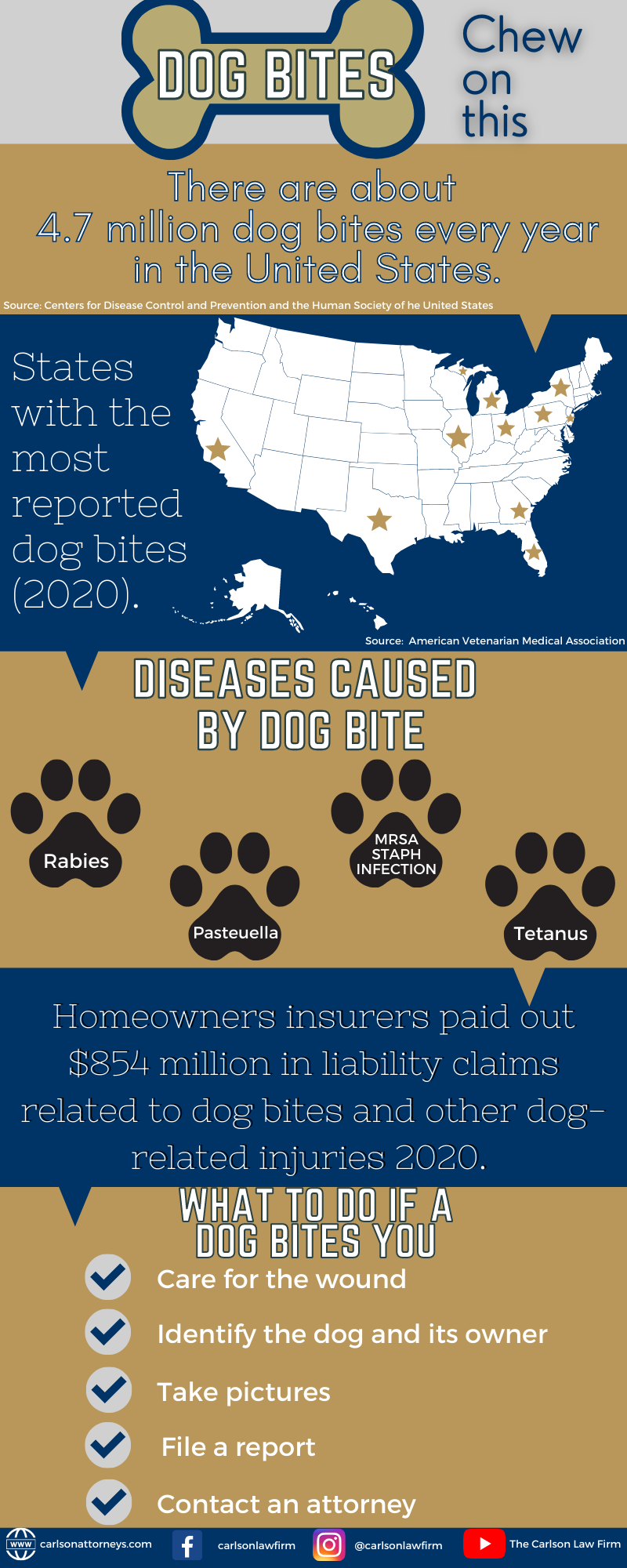 Dog Bites by Breed: Which Dogs Attack the Most?