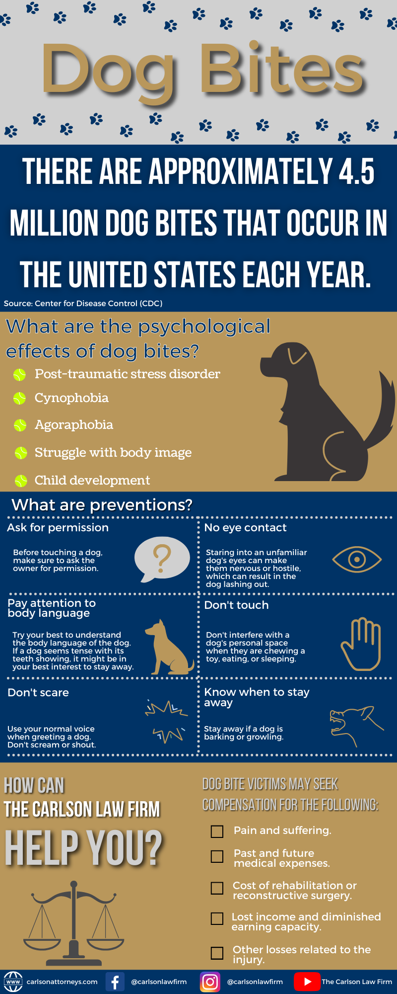 Psychological Dog Bite Injuries: A Lasting Effect • The Carlson Law Firm