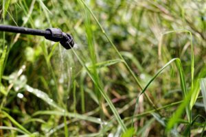 Image of person treating grass with herbicide