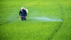 Image of man spraying pesticides on a field