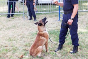 Image of police man with dog