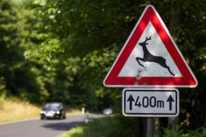 Image of deer crossing sign