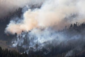 Overhead image of a smokey forest fire