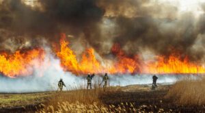 Image of firefighters battling a large forest and brush fire