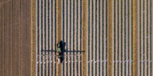 Overhead image of tractor treating crops for pests