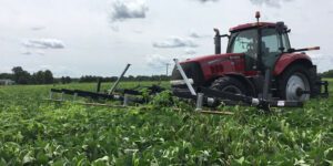 Image of tractor treating crops for weeds