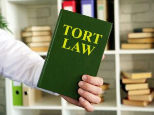 Image of person's hand holding a Tort Law book