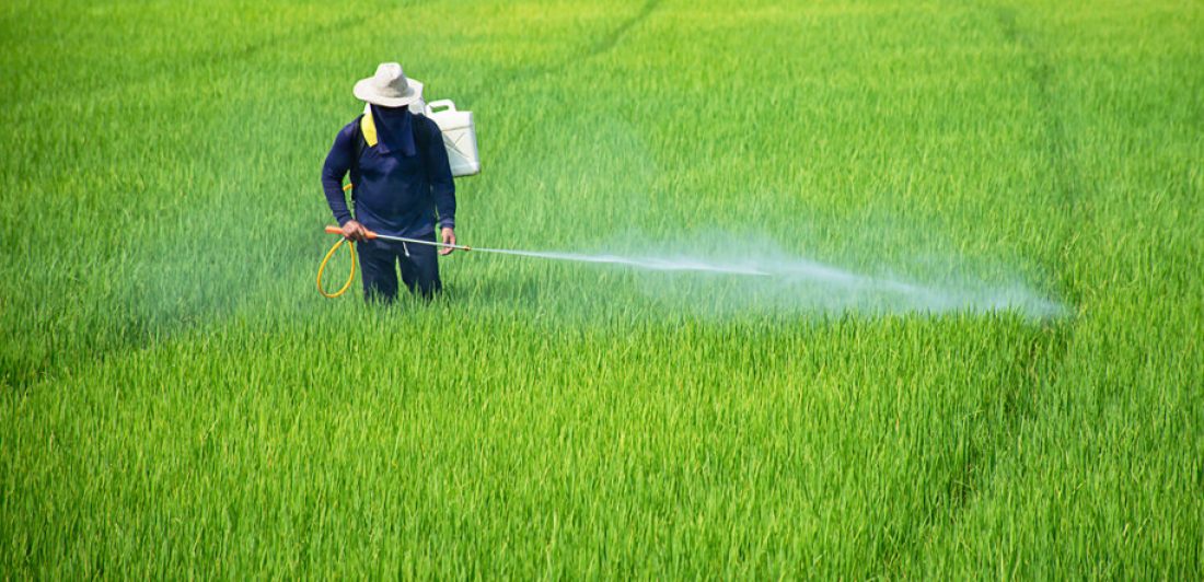 Image of man spraying pesticides on a field