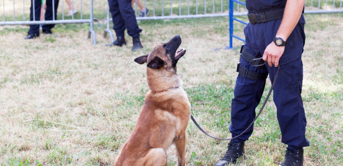 Image of police man with dog