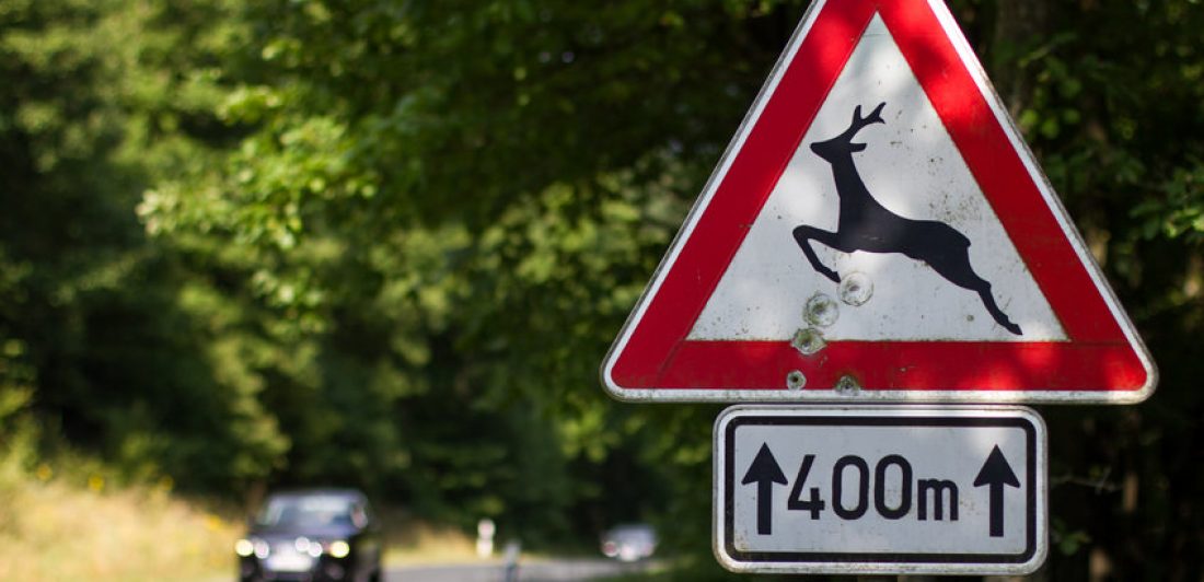 Image of deer crossing sign