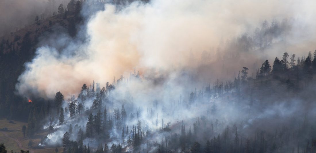 Overhead image of a smokey forest fire