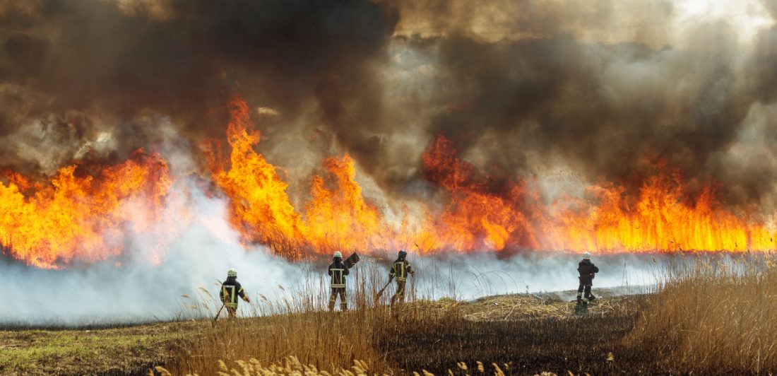 Image of firefighters battling a large forest and brush fire