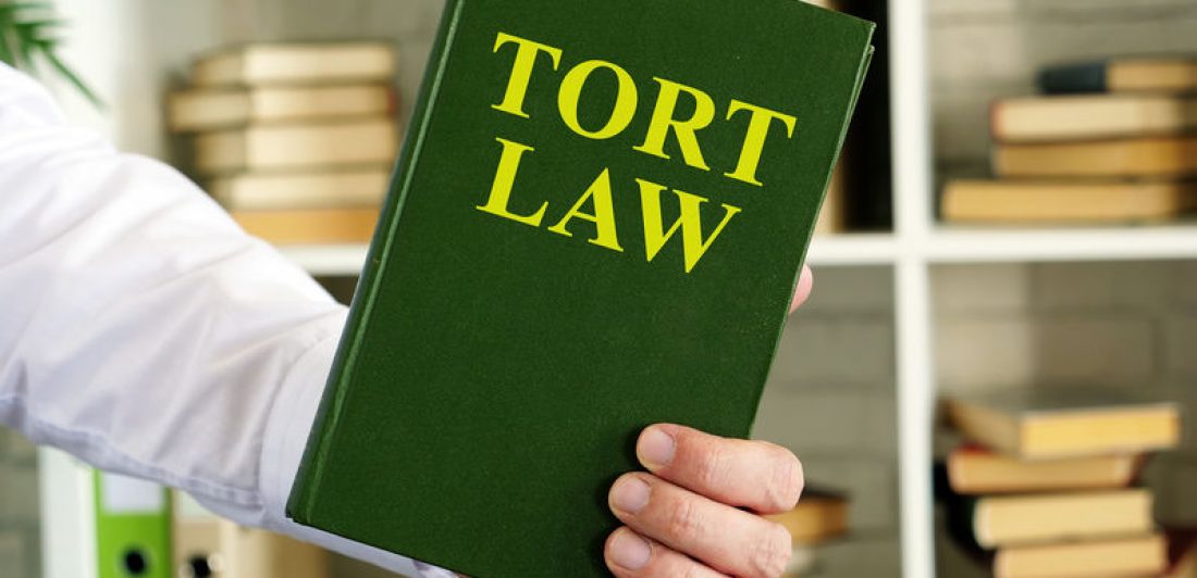 Image of person's hand holding a Tort Law book